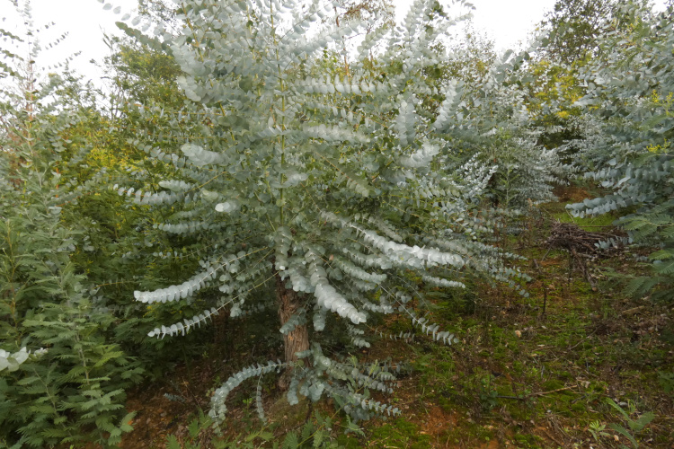 biens/1/4c5b9e8ba0d8958e58eb65dadaf4b474/photo_5ae2164def4b2d68657830cde717c6ee_Inc_0.jpg