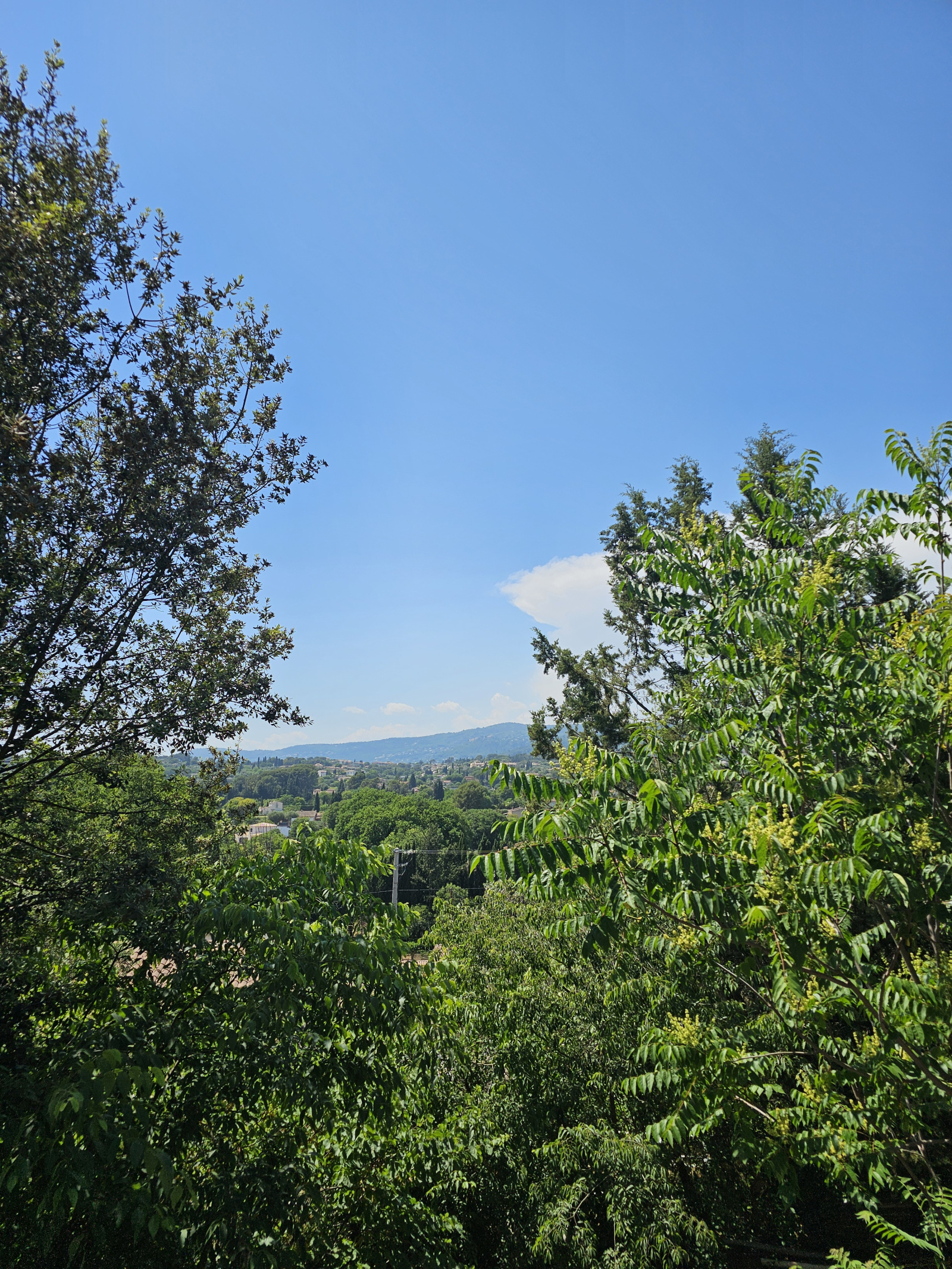 Image_, Maison, Grasse, ref :VMA30000963