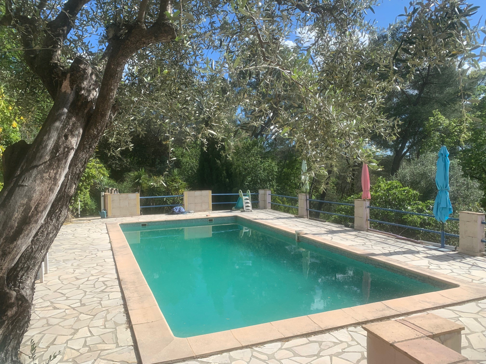 Image_, Villa, Opio, ref :VVI10000643