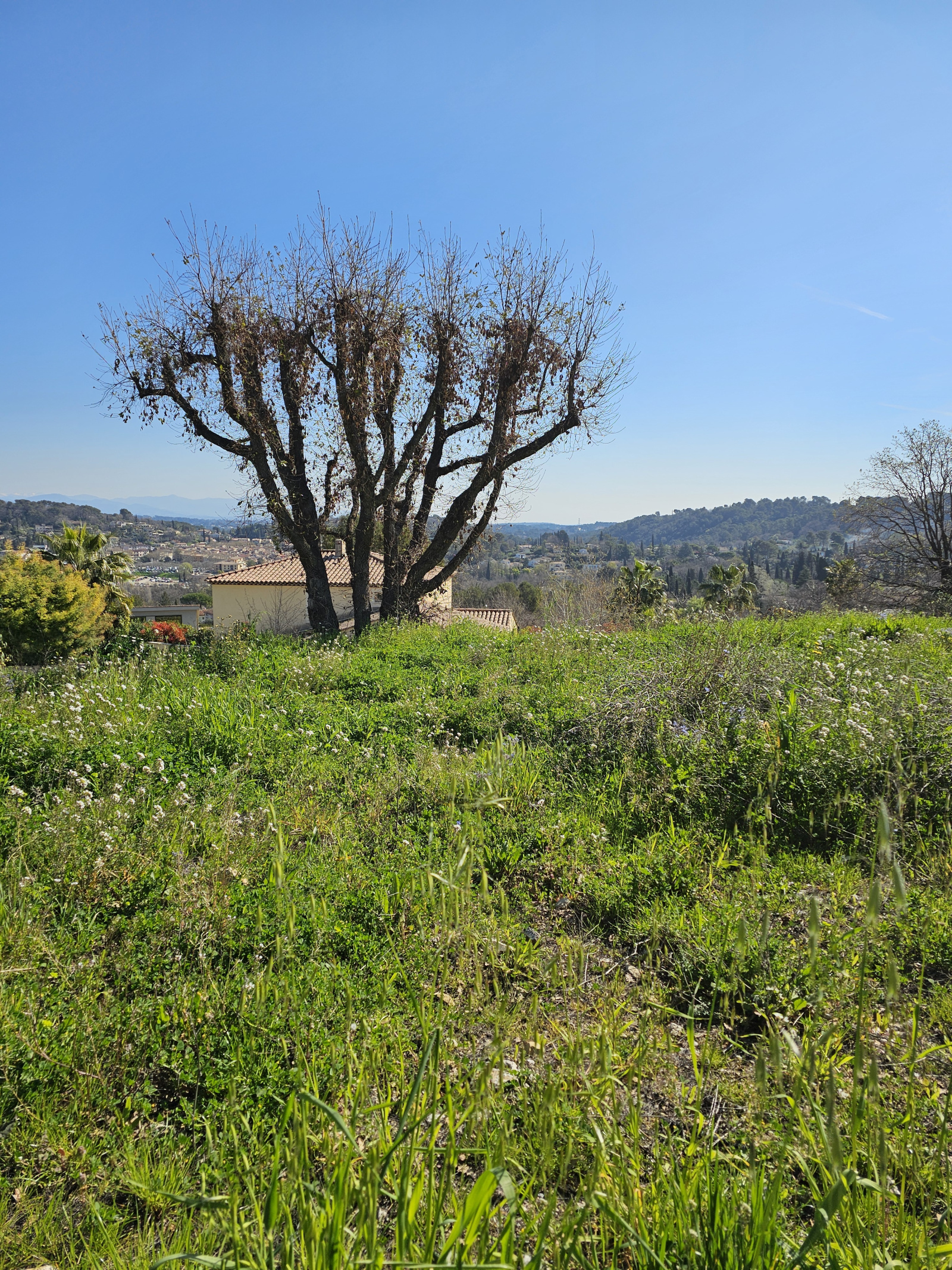 Image_, Terrain, Valbonne, ref :VTE190000909
