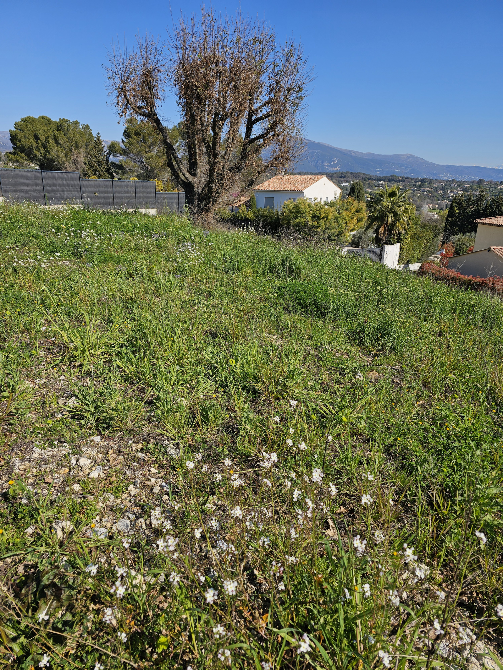 Image_, Terrain, Valbonne, ref :VTE190000909