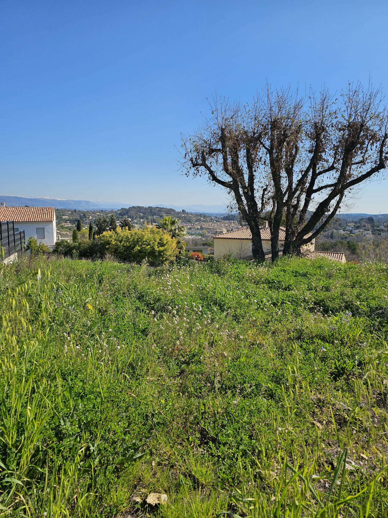 Image_, Terrain, Valbonne, ref :VTE190000909