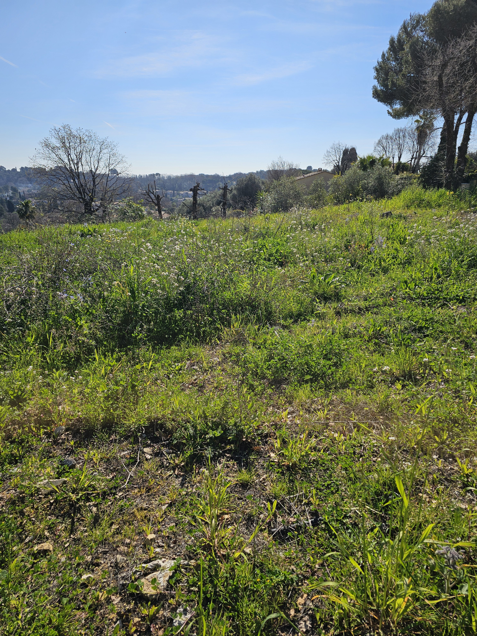 Image_, Terrain, Valbonne, ref :VTE190000909