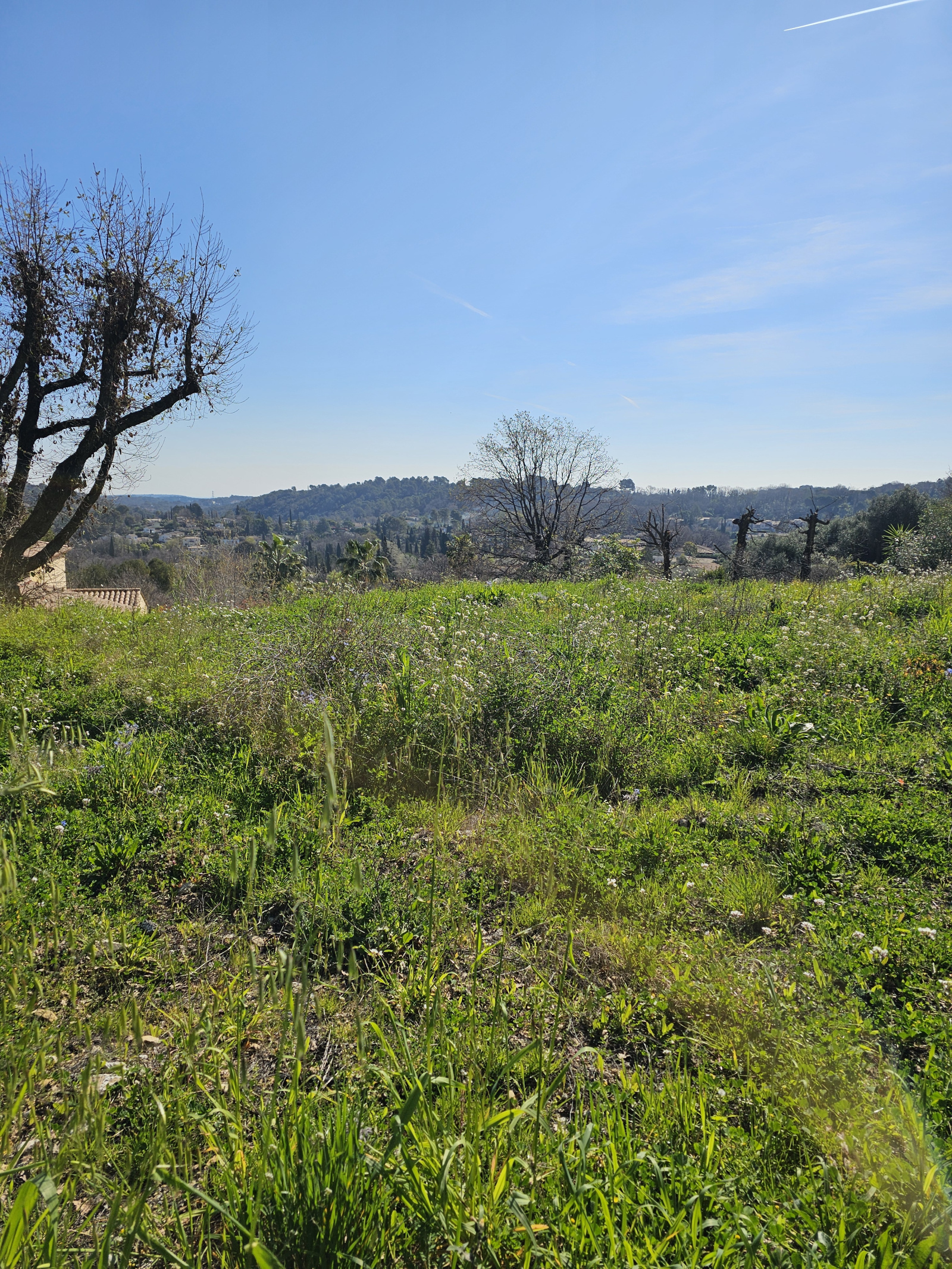 Image_, Terrain, Valbonne, ref :VTE190000909