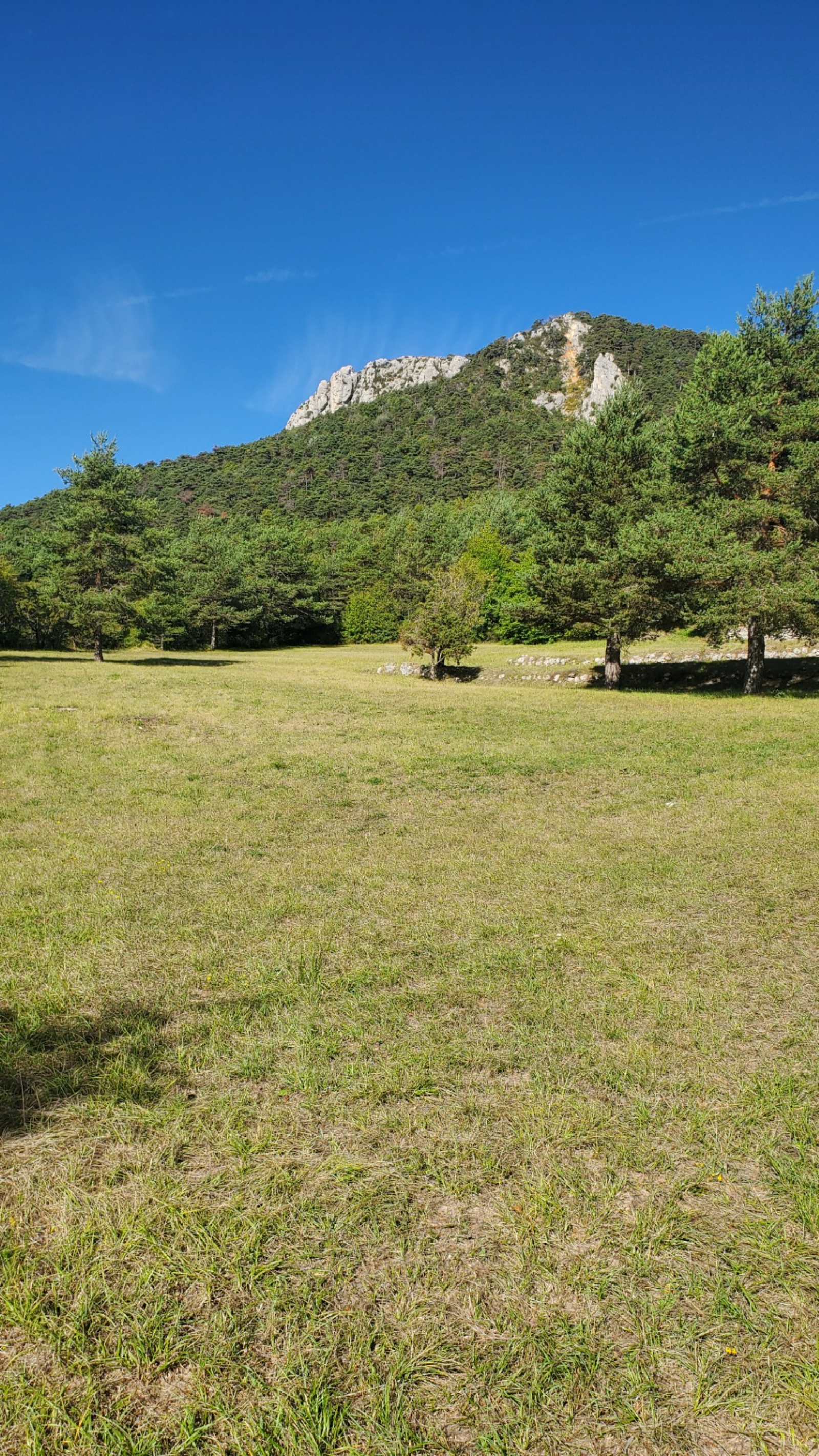 Image_, Terrain à batir, Séranon, ref :VTE50000653