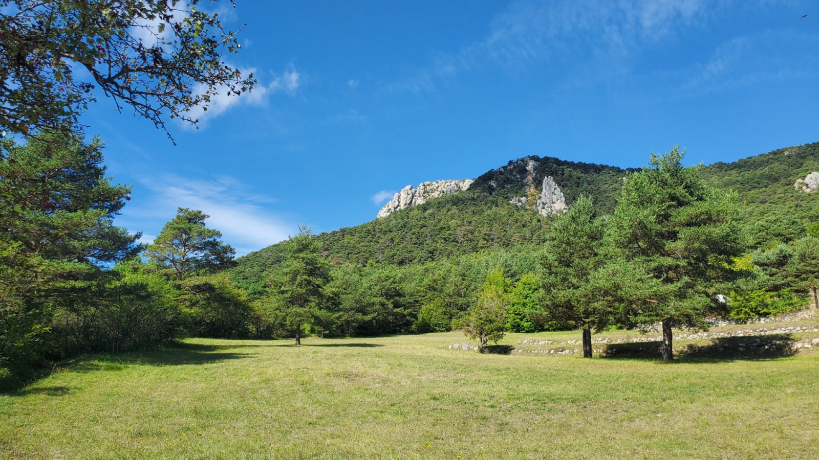 Image_, Terrain à batir, Séranon, ref :VTE50000653