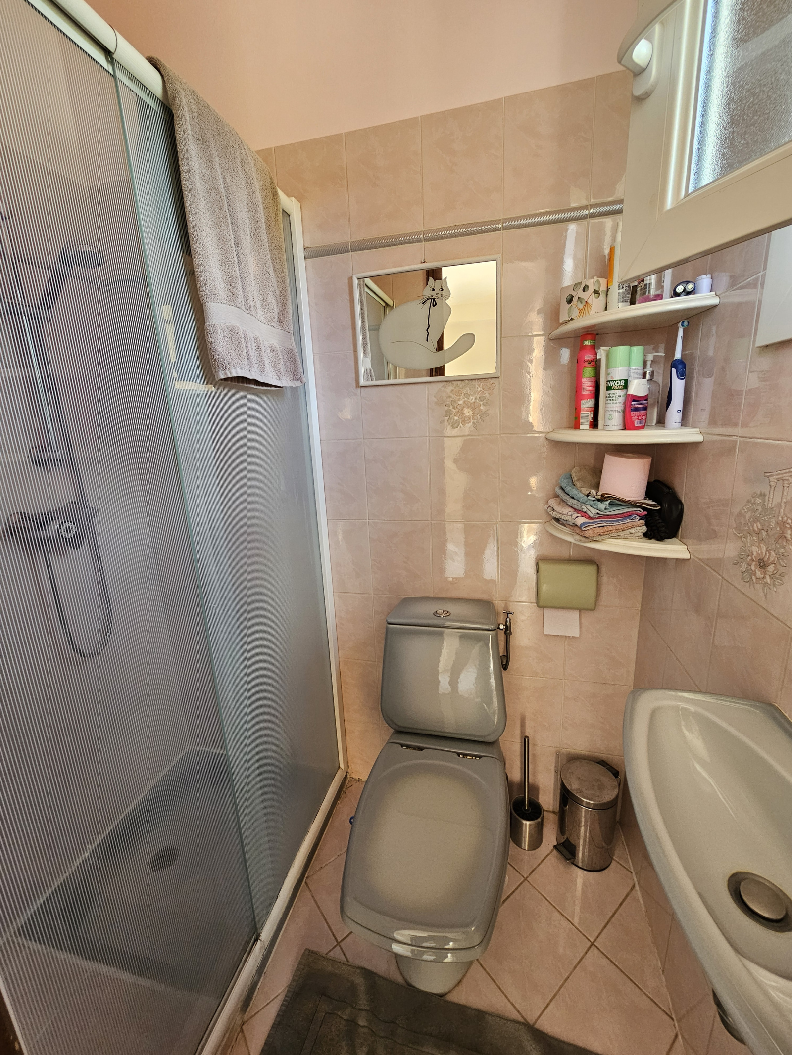 Image_, Villa, Peymeinade, ref :VAP30000855