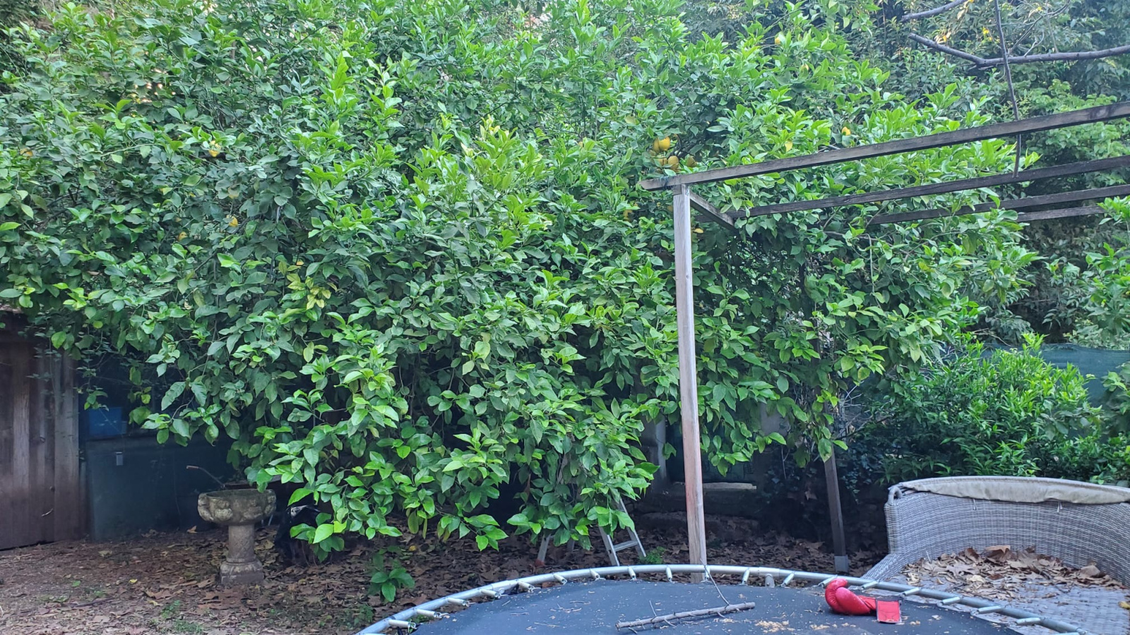 Image_, Villa, Grasse, ref :VVI140000611