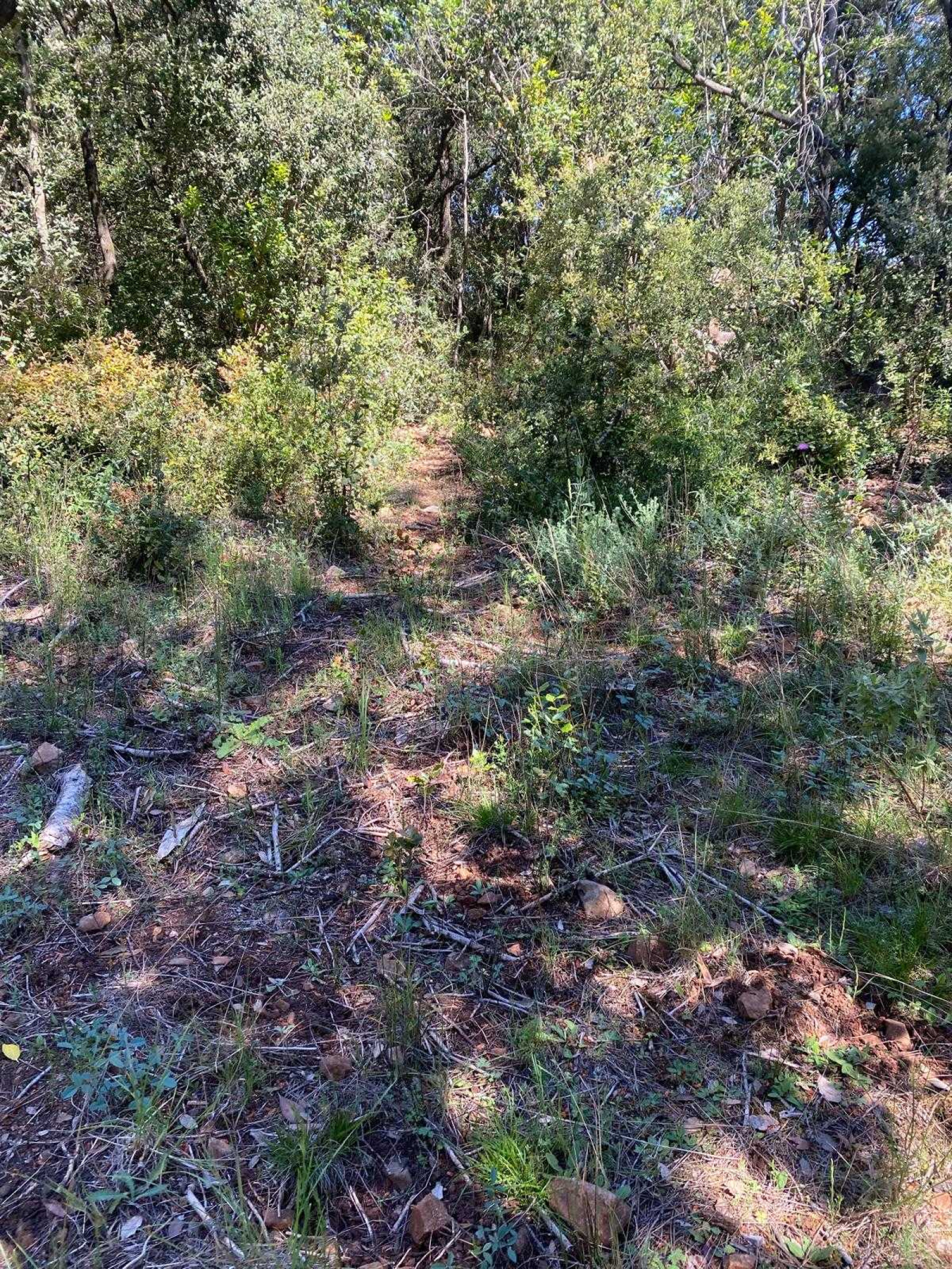 Image_, Terrain de loisir, Roquefort-les-Pins, ref :VTE50000959