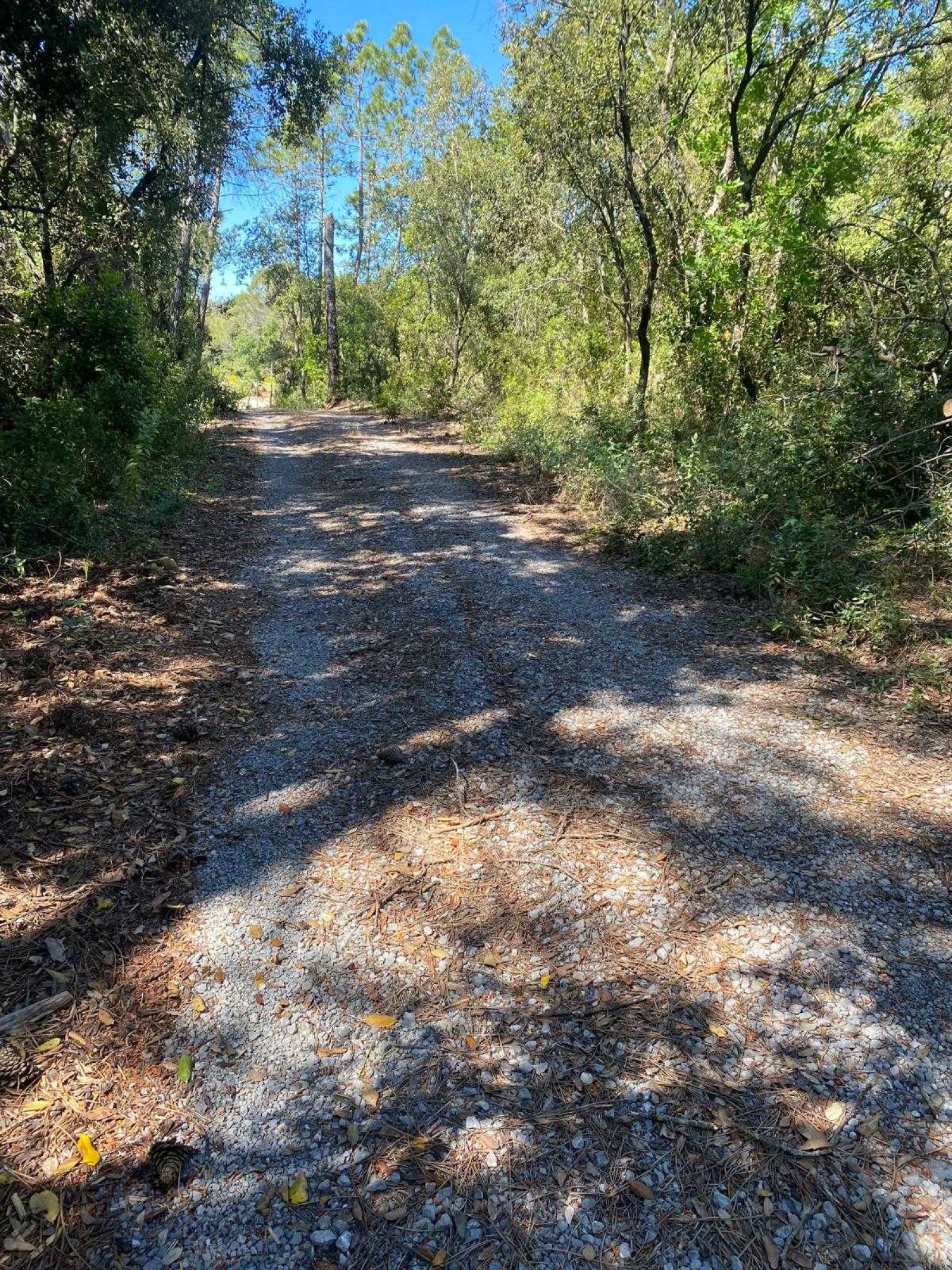 Image_, Terrain de loisir, Roquefort-les-Pins, ref :VTE50000959