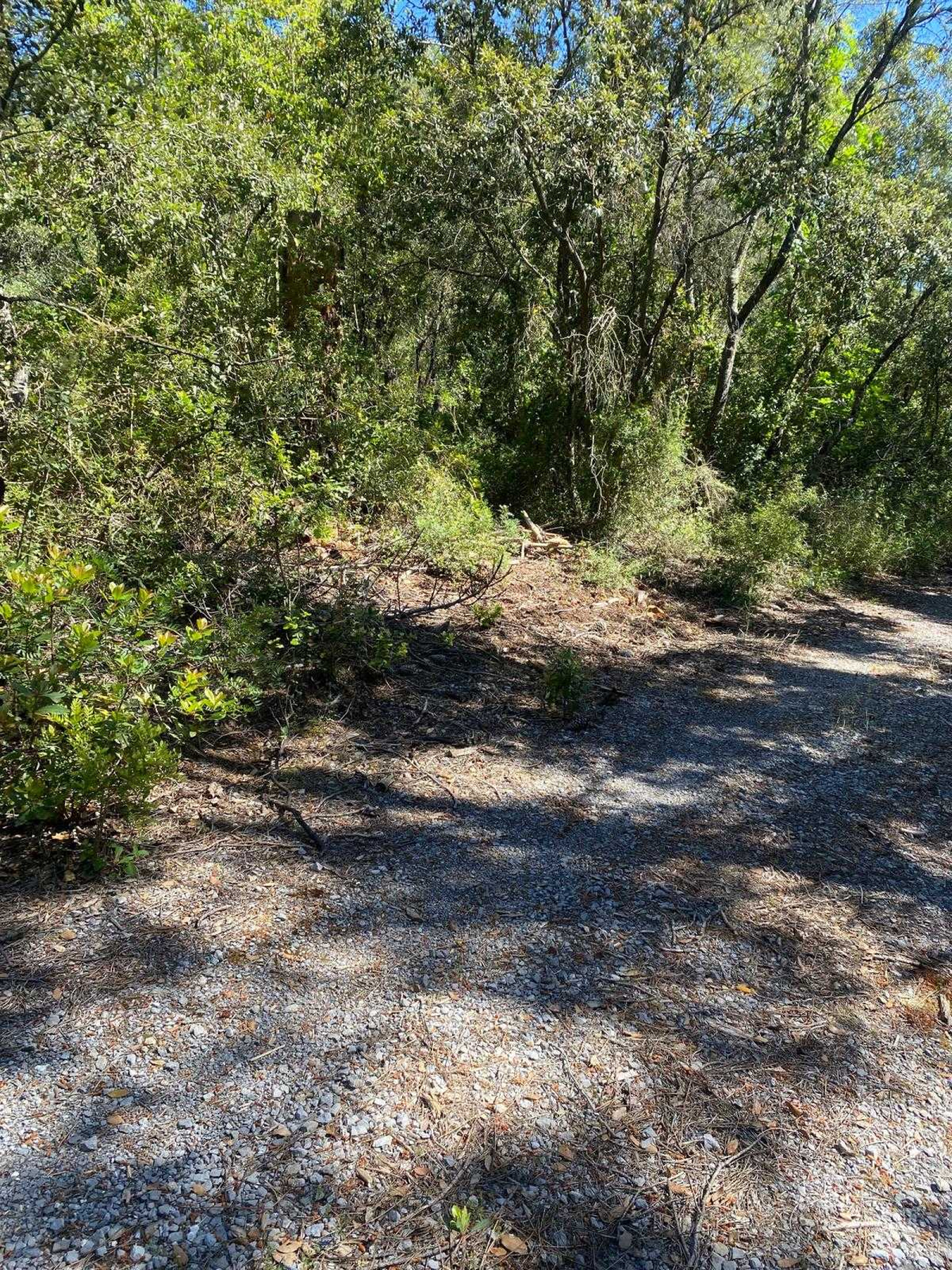 Image_, Terrain de loisir, Roquefort-les-Pins, ref :VTE50000959