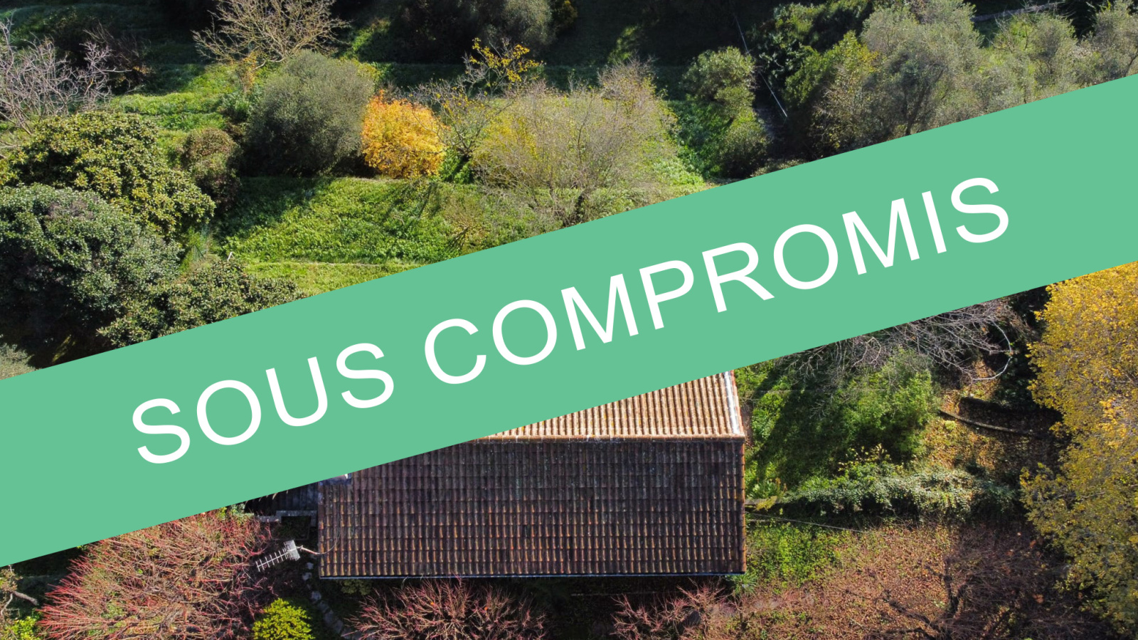 Image_, Maison, Grasse, ref :VMA110000580